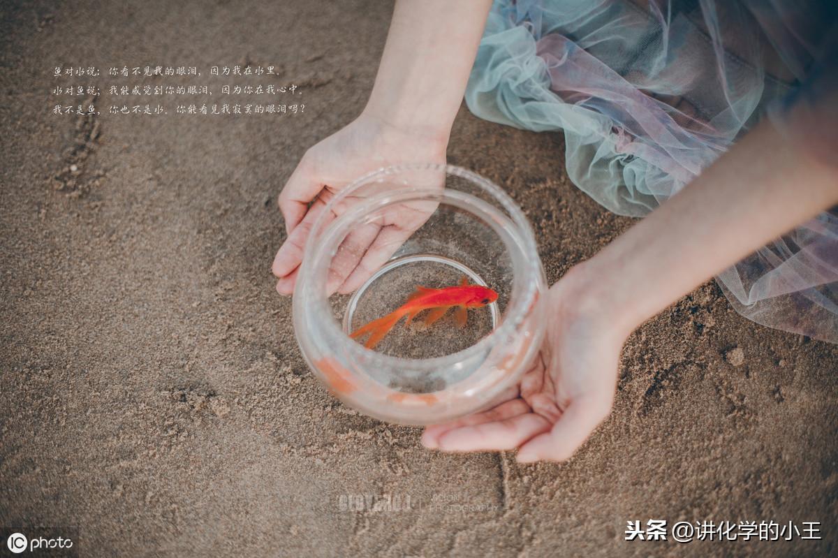 以水为话题的作文600字高中习作(手握一滴水)-电子课本网 以水为话题的作文600字高中习作(手握一滴水)