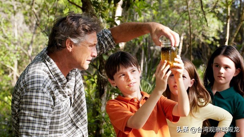 作文期待1000字以上高考作文《期待成长》-电子课本网 作文期待1000字以上高考作文《期待成长》