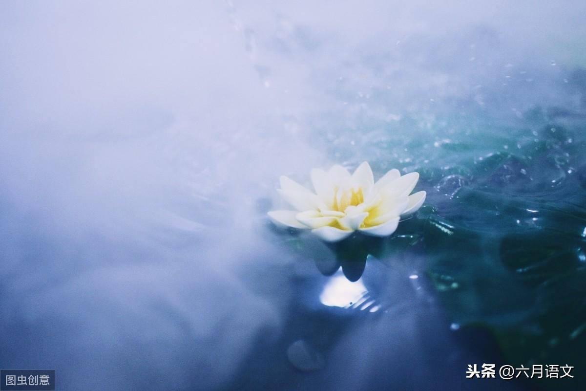 与你为邻作文800字考场满分(与你为邻)-电子课本网 与你为邻作文800字考场满分(与你为邻)