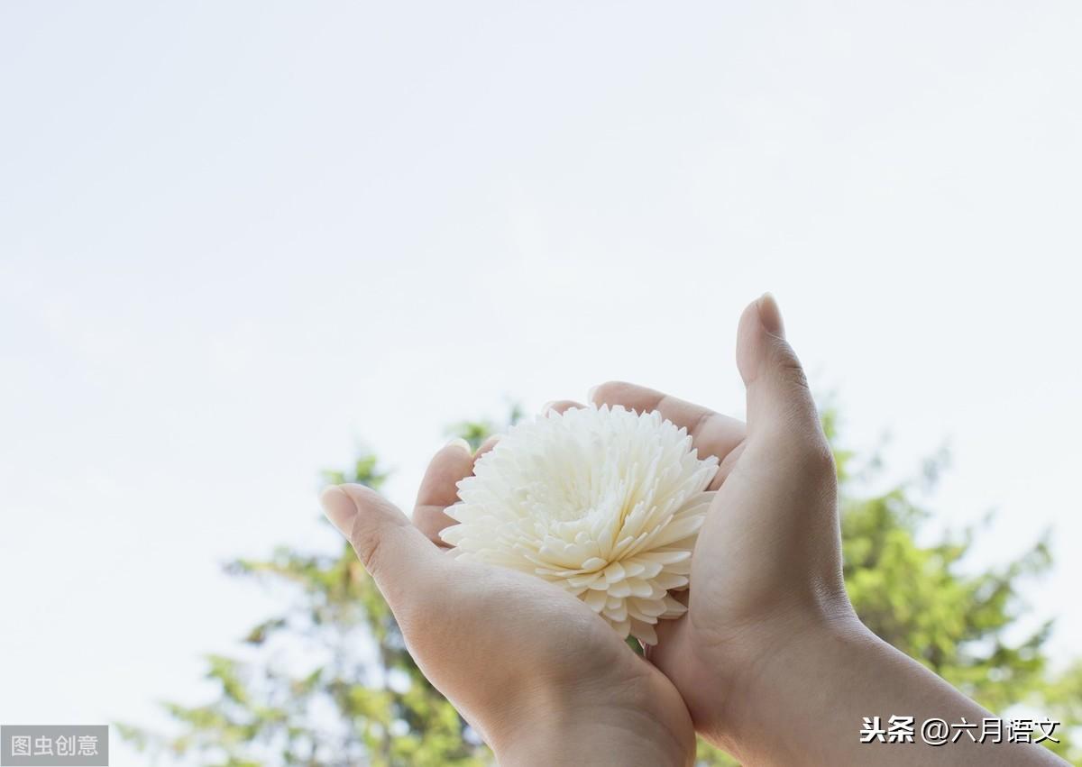 我想握住你的手作文800字精选满分(我想握住你的手)-电子课本网 我想握住你的手作文800字精选满分(我想握住你的手)