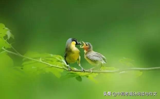 爱在身边作文600字中考习作《我身边的爱》-电子课本网 爱在身边作文600字中考习作《我身边的爱》