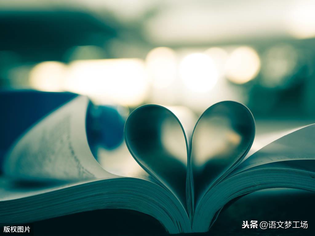 守望作文1000字中考满分《守望》-电子课本网 守望作文1000字中考满分《守望》